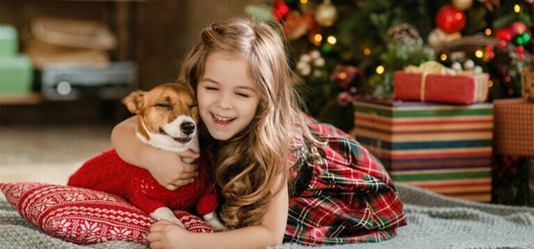 What to Write in a Christmas Card From the Dog