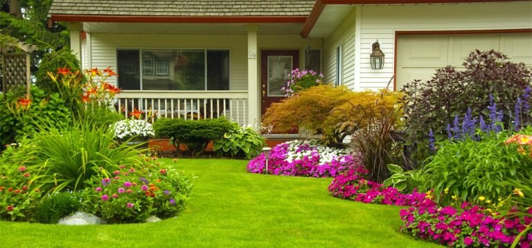 4 Items You Need To Transform Your Lawn To A Lush Garden